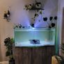 AquaOne AquaSys 300 Aquarium Image 7