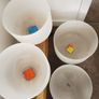 Crystal Singing Bowls Image 6