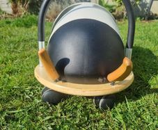 Wheely Bug