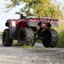 Honda 350 2003 Image 6