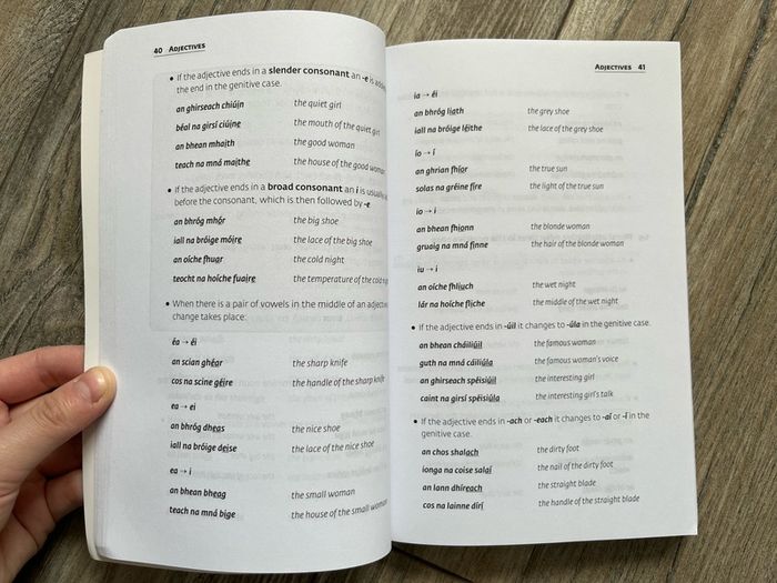 Collins easy learning Irish grammar