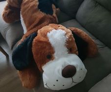 soft toy