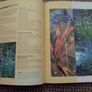 Hard-Back Gardening Book. Image 4