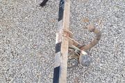 Toyota Avensis Towbar 03-09 draw bar @ OCG