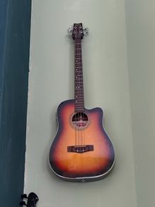 Semi acoustic bass