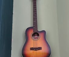 Semi acoustic bass