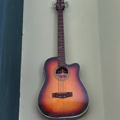 Semi acoustic bass