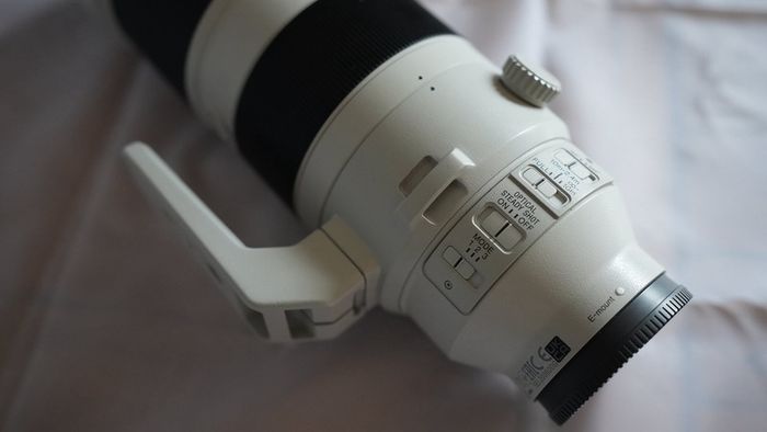 Sony FE 200-600mm f/5.6-6.3 G OSS Lens