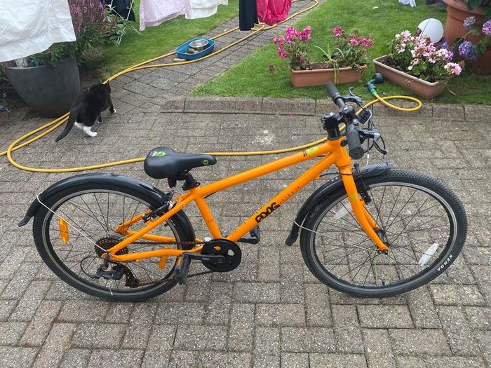 Frog Bike