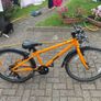 Frog Bike Image 2