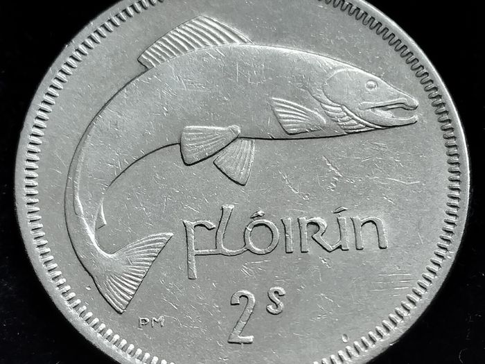 Ireland - 1965 - Florin - Salmon - KM.15a - [2459]