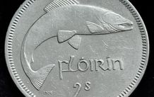 Ireland - 1965 - Florin - Salmon - KM.15a - [2459]