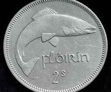 Ireland - 1965 - Florin - Salmon - KM.15a - [2459]