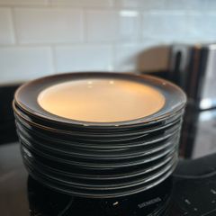 Denby Large Dinner Plates