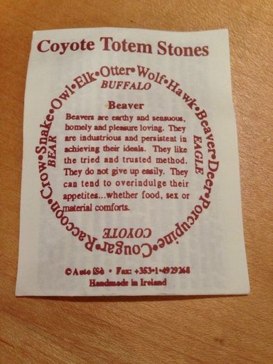 Coyote Totem Energy Stones Necklace