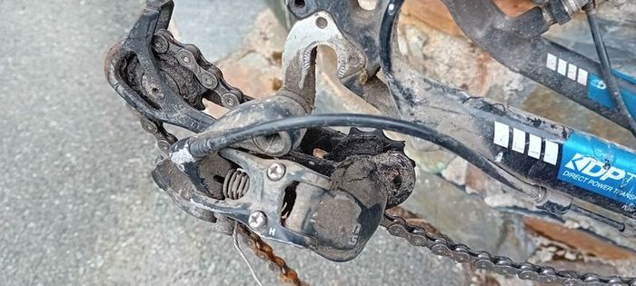 Boardman Sport Frame