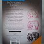 SALE! Set of 4 DRAW 50 drawing books: Dinosaurs, Flowers, Animals and Endangered Animals Image 10