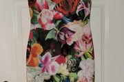 Ted Baker dress