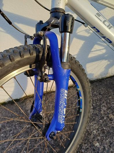 Carrera Luna 20 inch wheel MTB