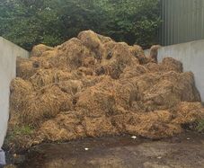 Horse Manure For Taking Away