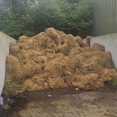 Horse Manure For Taking Away