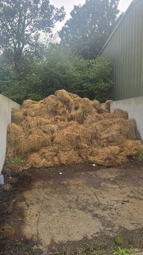 Horse Manure For Taking Away