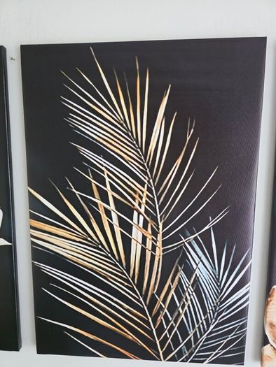 3 framed printed canvas 45x65cm