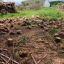 cut timber Image 3