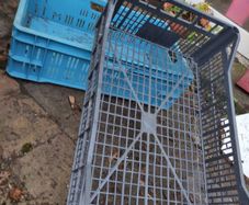 plastic crates 1 blue  few grey small and big