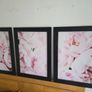 3 pictures in wooden frame 53x72 cm each Image 3