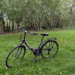 Ignite Voyager Hybrid Bike