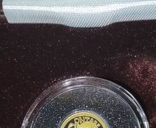 gold coin 20 e