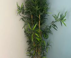 Tall artificial plant from Ikea