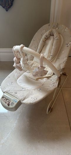 Baby Bouncer