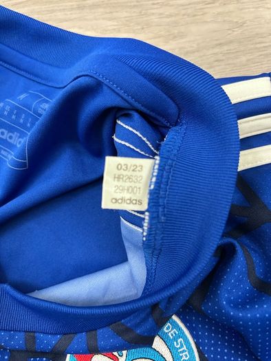 Adidas Racing Club De Strasbourg Training Jersey Shirt Maillot Mens Medium