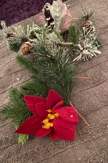 Christmas selection for decorations or artwork