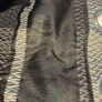 2 x curtains with 4 matching cushion covers Image 2