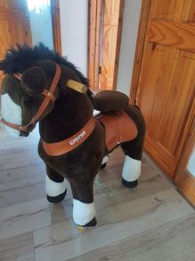 pony cycle