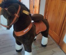 pony cycle