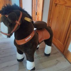 pony cycle