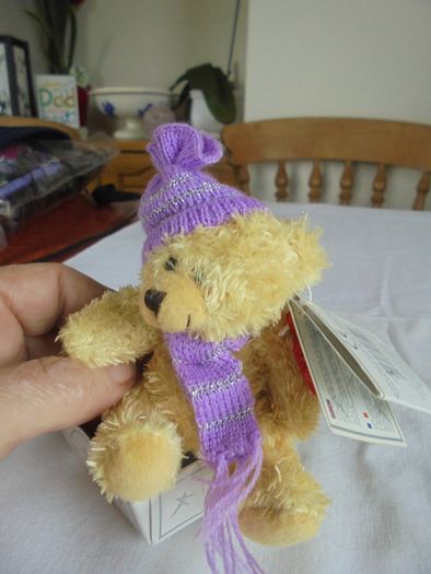 Miniature "Teddy Cares" Teddy Bear for Sale