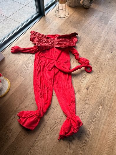 Dragon costume