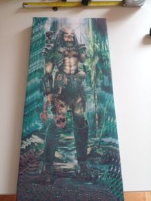 PREDATOR  picture on CANVAS 8 inches x 18 inches