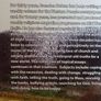 Times and seasons by Brendan Hoban Ireland Irish Image 2