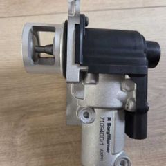 Borgwarner Wahler Egr Valve 710940d/1 (ean 4014427161486) Vw Audi Seat Skoda 2.0 Tdi