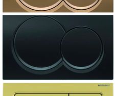 Alpha geberit flush paltes multiple choice