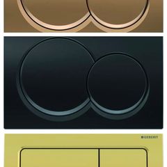Alpha geberit flush paltes multiple choice