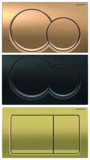 Alpha geberit flush paltes multiple choice