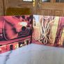 Bruce Springsteen/ we shall overcome / The Seeger Sessions cd and dvd Image 2