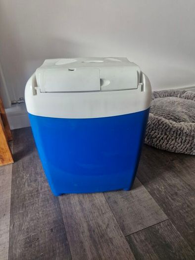 Portable electric cooler box